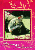 F&ecirc;te d'anniversaire avec un chat c&acirc;lin